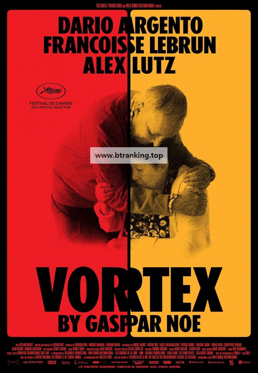 소용돌이 Vortex (2021) [1080p] [BluRay] [5.1] [YTS.MX]