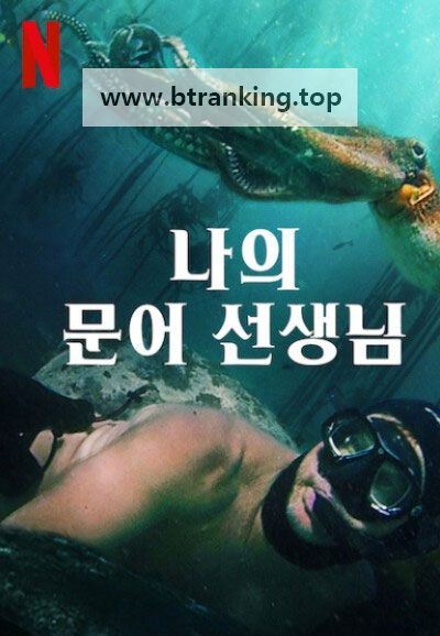 나의 문어 선생님 My Octopus Teacher ,2020.1080p.KORSUB.WEBRip.H264.AAC