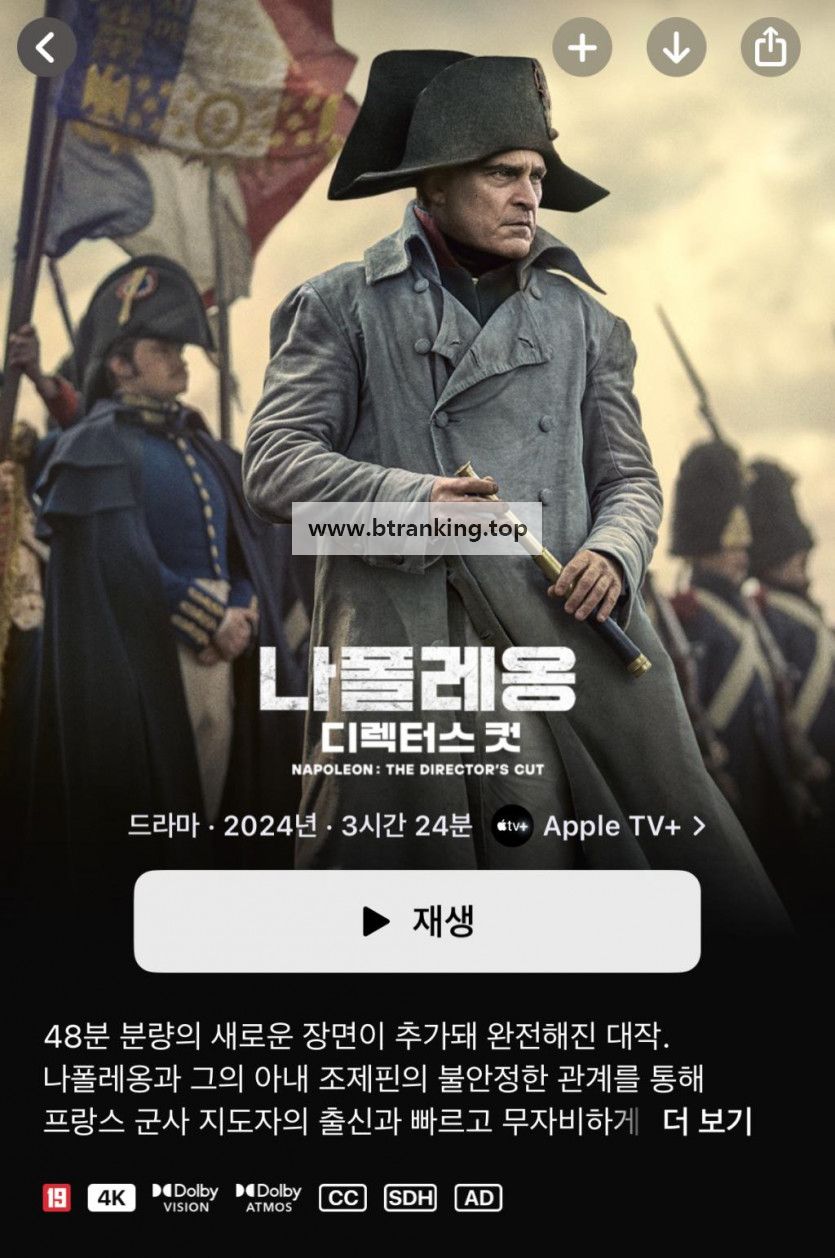 나폴레옹 감독판 1080p.10bit.WEBRip.6CH.x265.HEVC-PSA